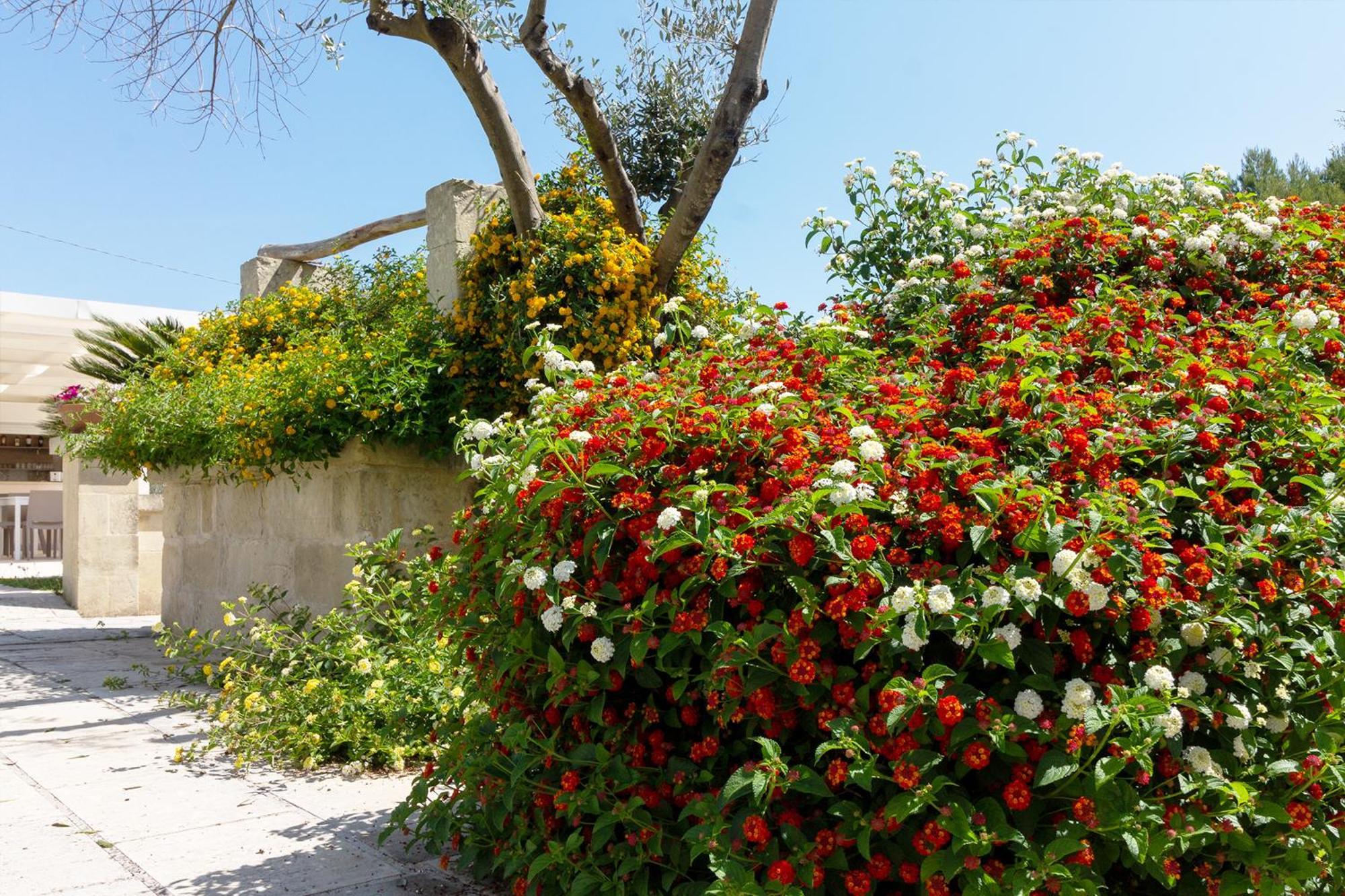 La Casina Di Borgagne Villa Buitenkant foto